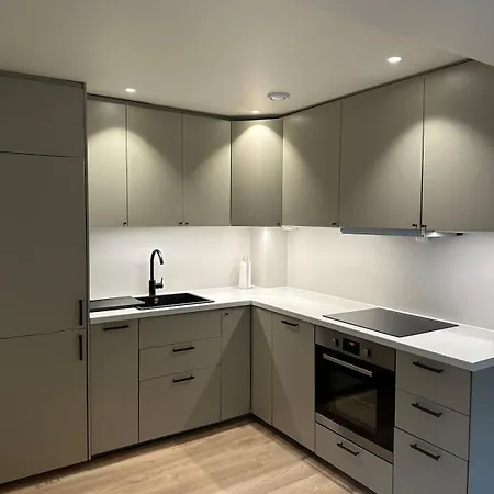 Apartman Modern Near And Oslo *